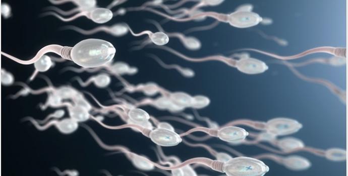Test kvality spermií - tehotenstvi.cz